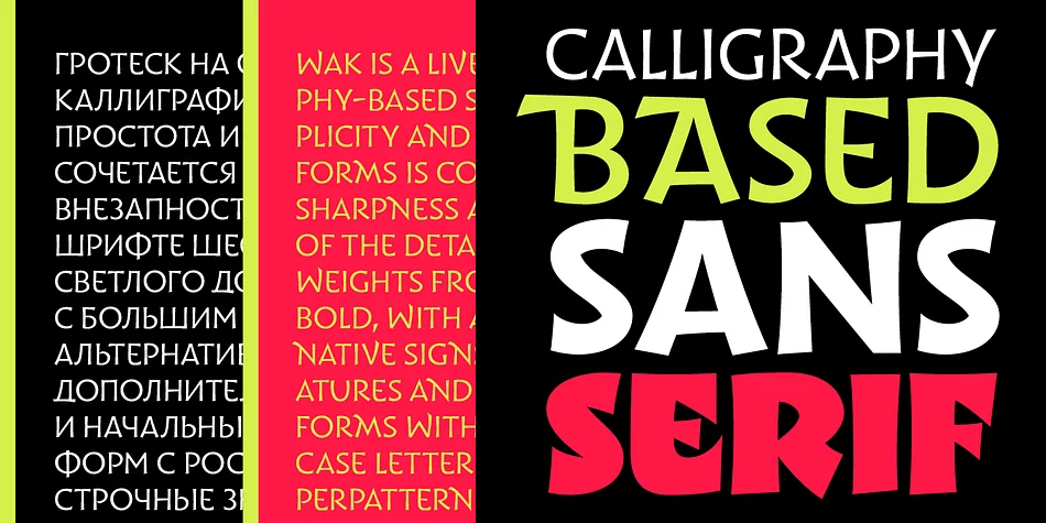 Wak by ParaType — Display Font — thumbnail 5