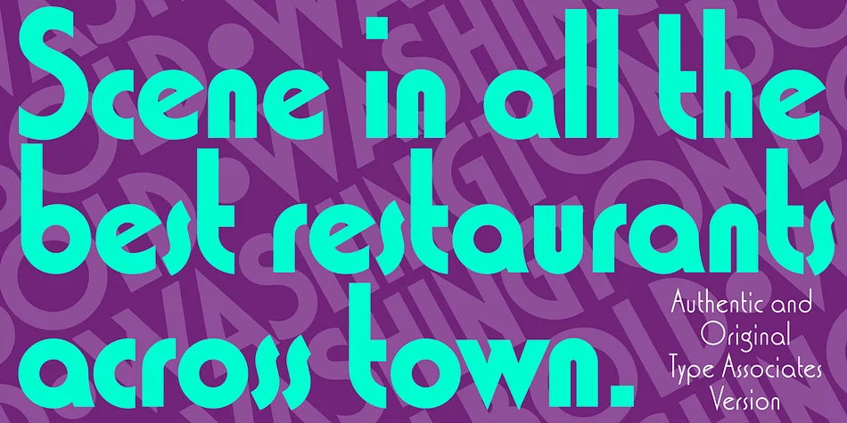 Washington by Type Associates — Decorative Font — thumbnail 3