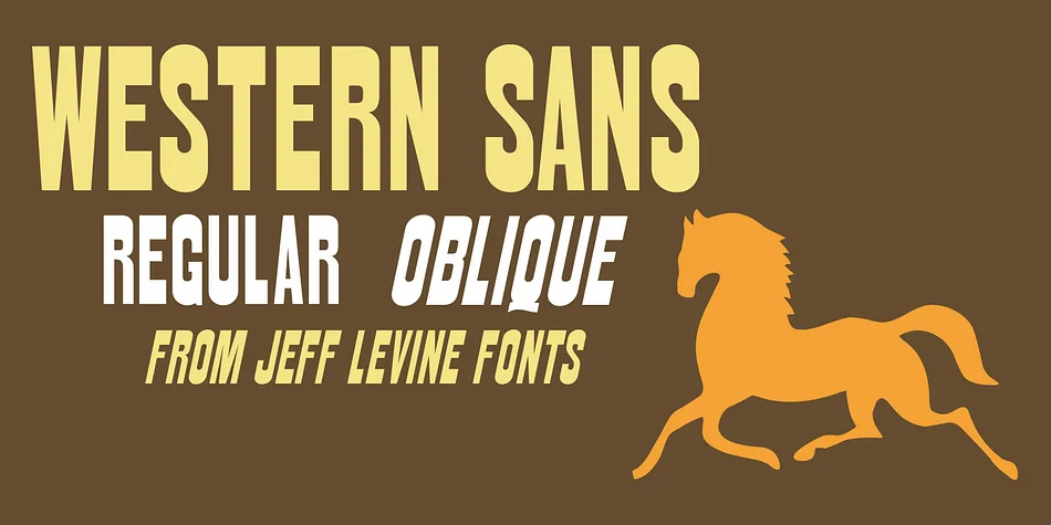WESTERN SANS JNL by Jeff Levine Fonts — Display Font