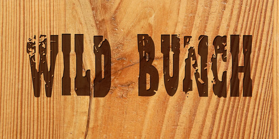 WILD BUNCH by Hanoded — Decorative Font