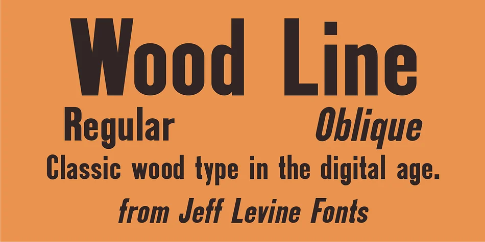 Wood Line JNL by Jeff Levine Fonts — Display Font