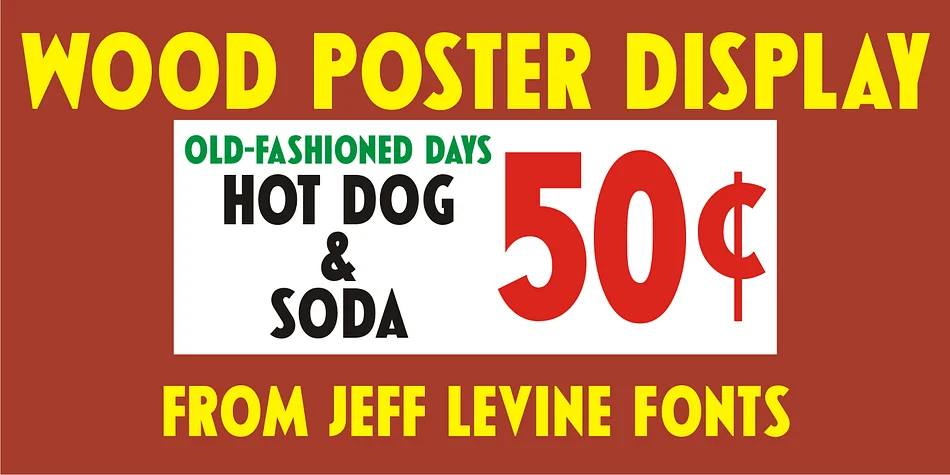 WOOD POSTER DISPLAY JNL by Jeff Levine Fonts — Display Font