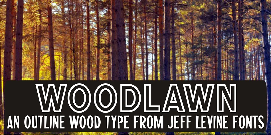 WOODLAWN JNL by Jeff Levine Fonts — Display Font