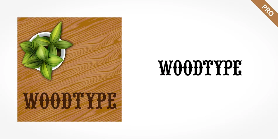 WOODTYPE PRO by SoftMaker — Decorative Font