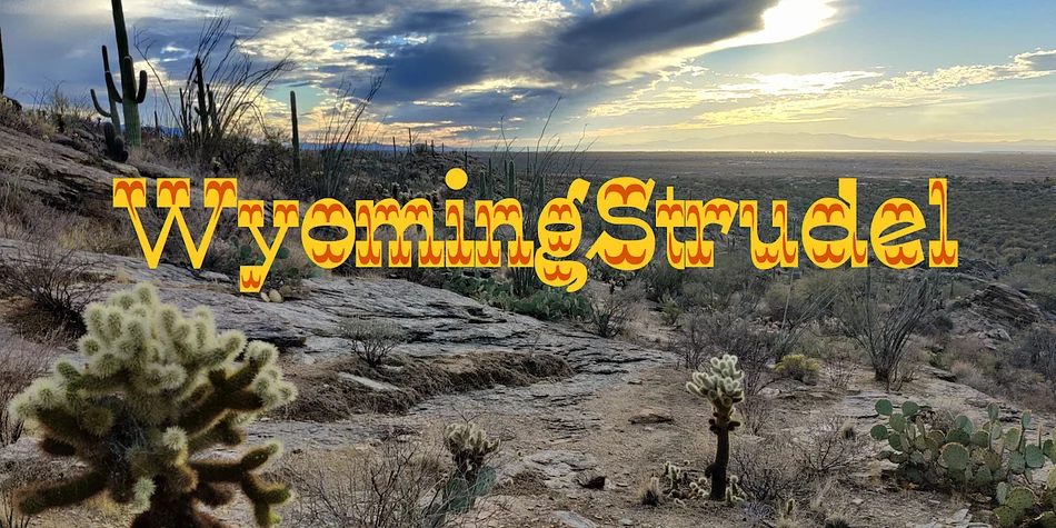 Wyoming Strudel by Ingrimayne Type — Decorative Font