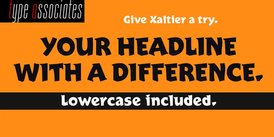 Xaltier by Type Associates — Display Font — thumbnail 3