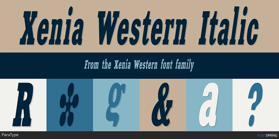 Xenia Western by ParaType — Decorative Font — thumbnail 2