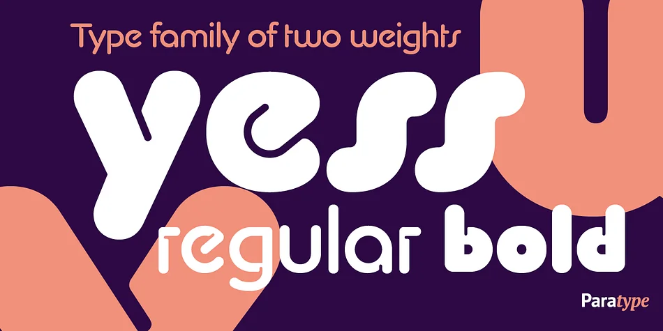 Yess by ParaType — Display Font