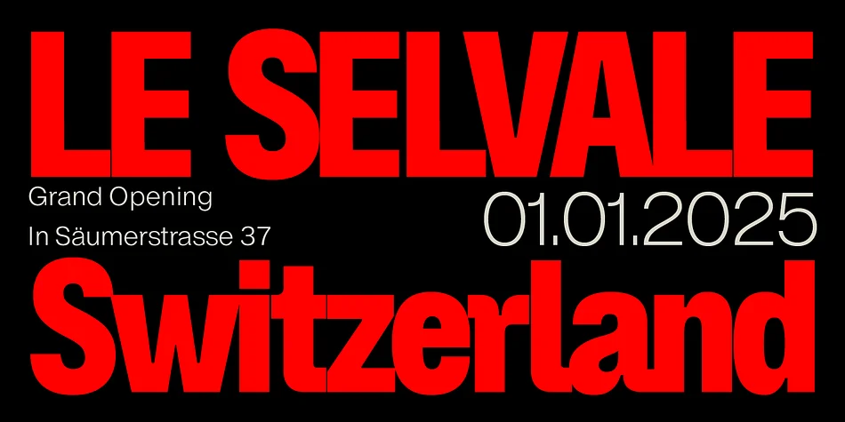 ZT Hoky by Zelow Type — Display Font — thumbnail 2