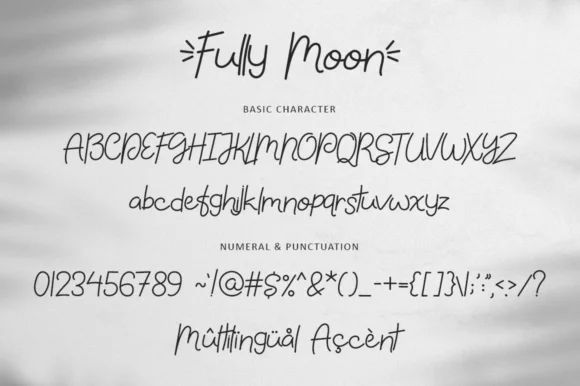 Fully Moon Font by illushvara — Script Handwritten Font — thumbnail 6