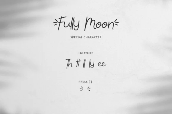 Fully Moon Font by illushvara — Script Handwritten Font — thumbnail 7