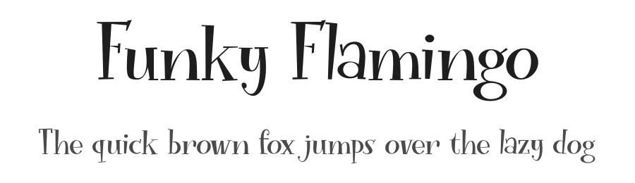 Funky Flamingo by Hanoded — Decorative Font