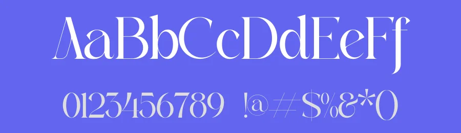 Gagkline by Storytype Studio — Serif Font — thumbnail 3