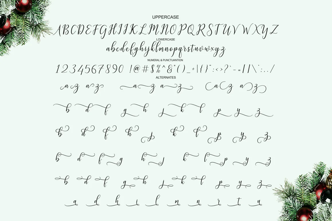 Galatia Script Font by Amarlettering — Script Handwritten Font — thumbnail 6