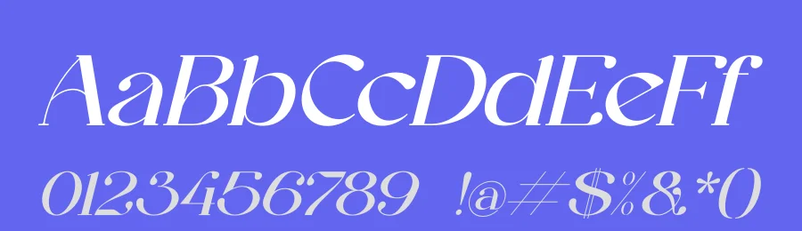 Galeriya by Gracetype Studio — Serif Font — thumbnail 3