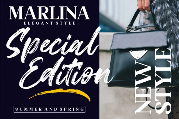 Gallendo Font by Letterena Studios by Letterena Studios — Script Handwritten Font — thumbnail 2
