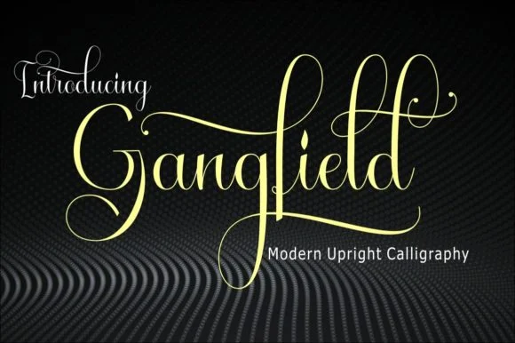 Gangfield Font by Slex_studio — Script Handwritten Font