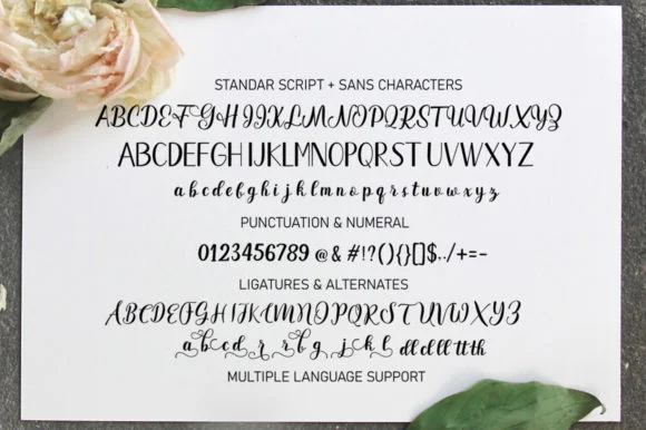 Garbera Duo Font by Stellar Studio — Script Handwritten Font — thumbnail 6