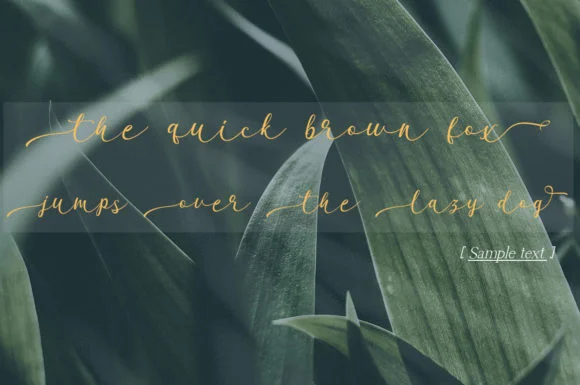 Garnita Script Font by Arief.hk — Script Handwritten Font — thumbnail 5