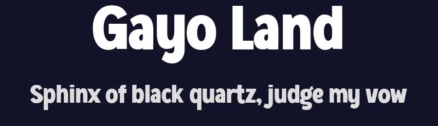 Gayo Land by Afkari Studio — Sans Serif Font — thumbnail 2