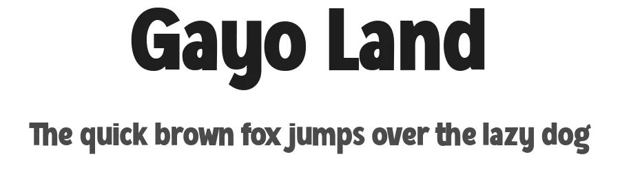 Gayo Land by Afkari Studio — Sans Serif Font