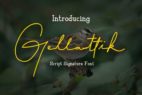 Gellattik Font by anomali.bisu — Script Handwritten Font