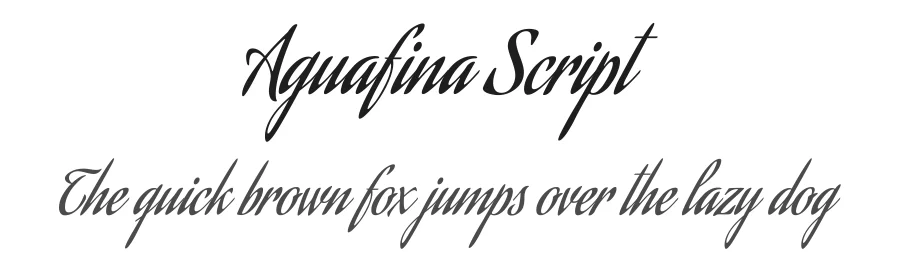 Aguafina Script by Sudtipos — Script Handwritten Font