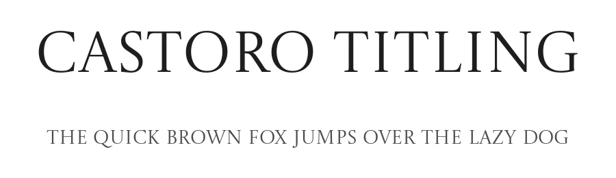 Castoro Titling by Tiro Typeworks, John Hudson — Serif Font