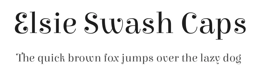 Elsie Swash Caps by Alejandro Inler β Display Font