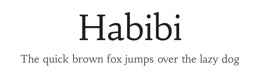 Habibi by Magnus Gaarde — Serif Font