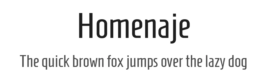 Homenaje by Constanza Artigas Preller, Agustina Mingote — Sans Serif Font