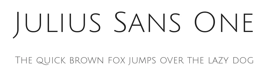 Julius Sans One by Luciano Vergara — Sans Serif Font