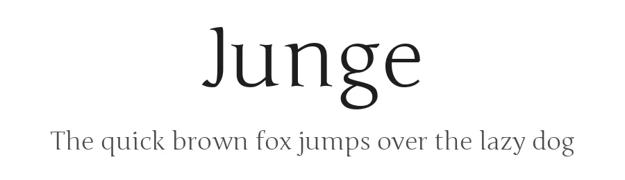 Junge by Cyreal — Serif Font