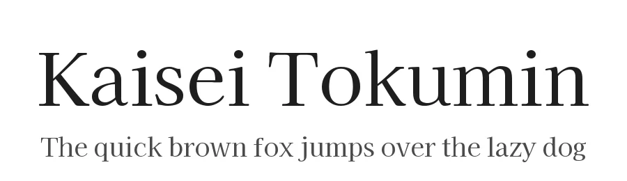 Kaisei Tokumin by Font-Kai — Serif Font