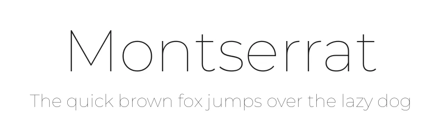 Montserrat by Julieta Ulanovsky, Sol Matas, Juan Pablo del Peral, Jacques Le Bailly — Sans Serif Font