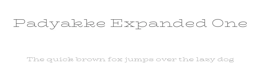 Padyakke Expanded One by James Puckett — Serif Font