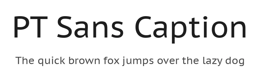 PT Sans Caption by ParaType — Sans Serif Font