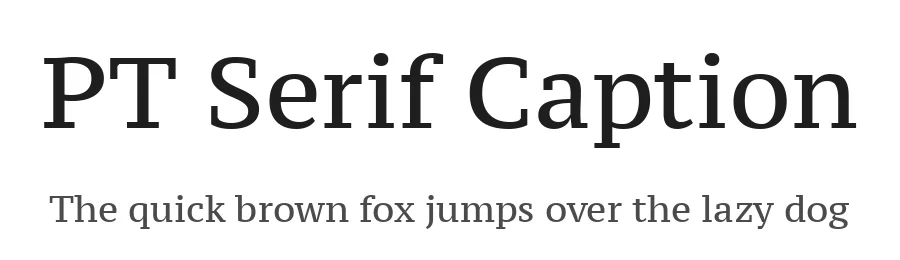 PT Serif Caption by ParaType — Serif Font