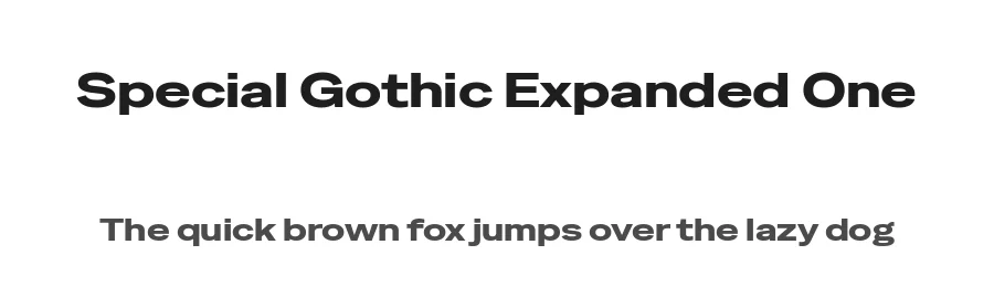 Special Gothic Expanded One by Alistair McCready — Sans Serif Font