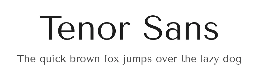 Tenor Sans by Denis Masharov — Sans Serif Font