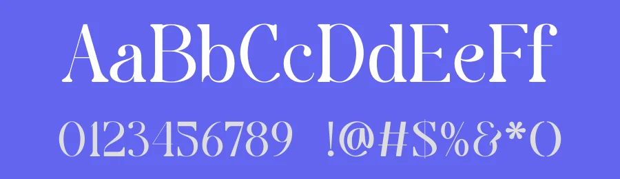 Ginger Brand by Muflieart — Serif Font — thumbnail 3