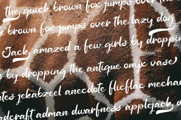 Giraffa Font by erlosDESIGN — Script Handwritten Font — thumbnail 2