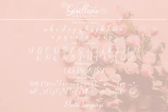 Gisellano Font by YanStudio — Script Handwritten Font — thumbnail 7