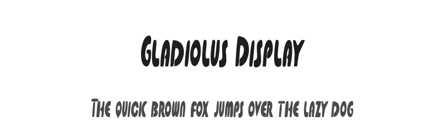 Gladiolus Display