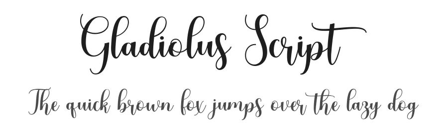 Gladiolus Script