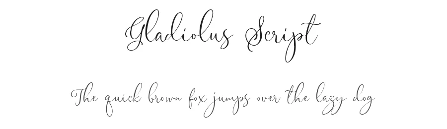 Gladiolus Script