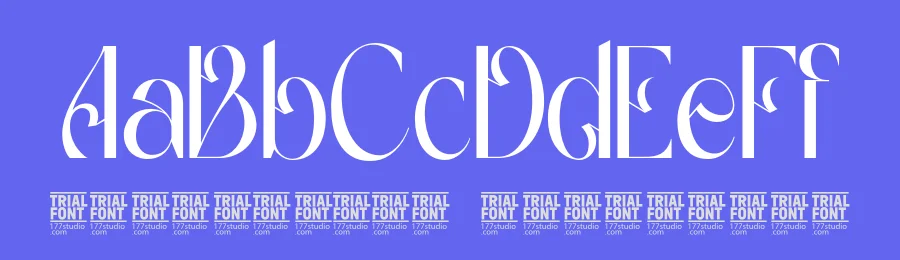 Gradually Reduced by 177Studio — Decorative Font — thumbnail 3