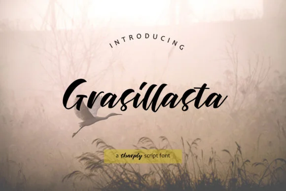 Grasillasta Font by Coretanletter — Script Handwritten Font