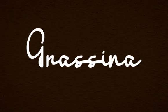 Grassina Font by Designvector10 — Script Handwritten Font