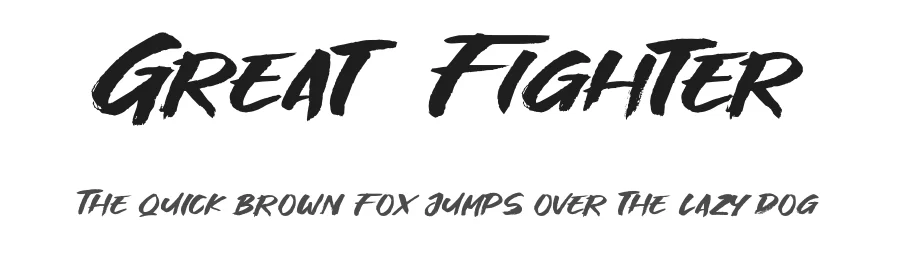 Great Fighter